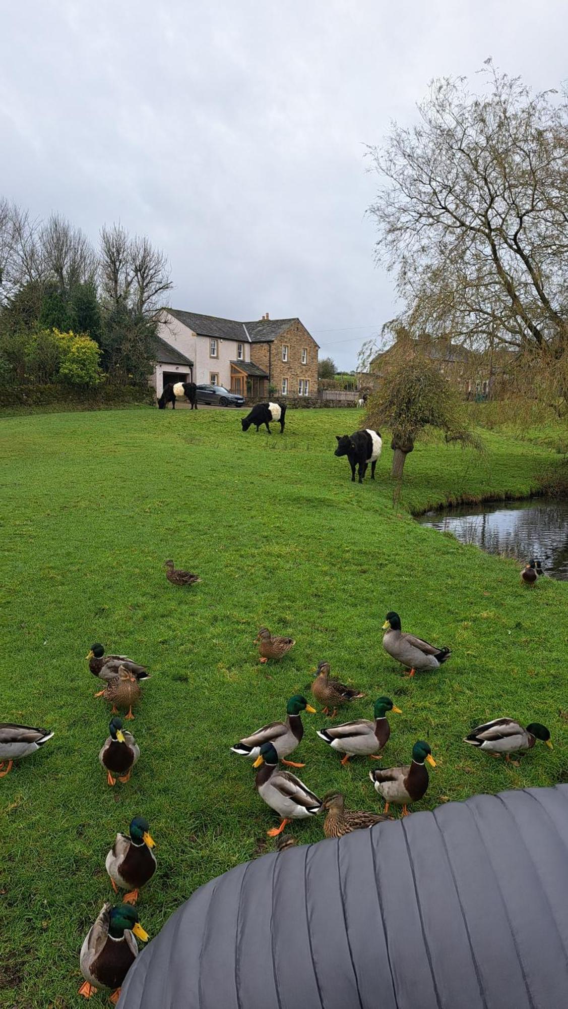 Church House Barn Lake District & Solway Coast With Solway Firth Views Silloth Kültér fotó